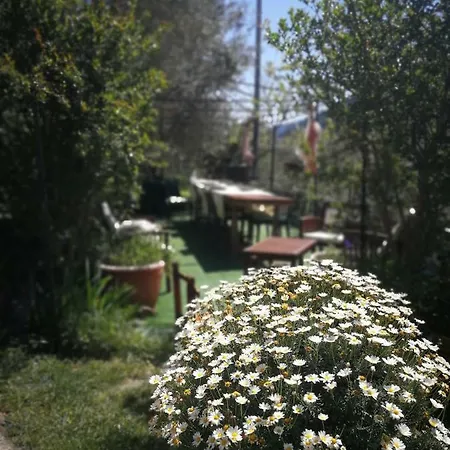 Il Melograno *